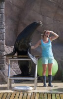 /album/galerie-photos/dsc-0070-jpg/