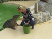 /album/galerie-photos/a537040-4643012947234-1982435163-n-jpg/